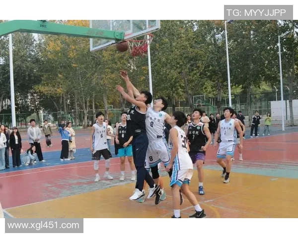 拿冠篮球的荣耀与挑战探索篮球赛场上的激情与梦想